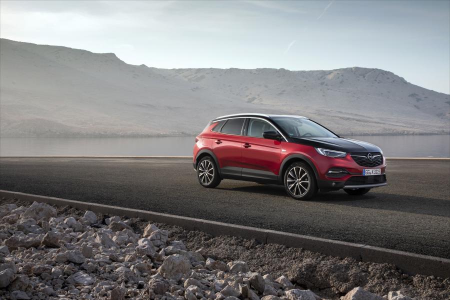  Opel Grandland X Hybrid4 2019 года  (фото 23 из 42)
